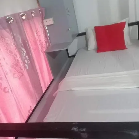 Sean Lojed Hostel